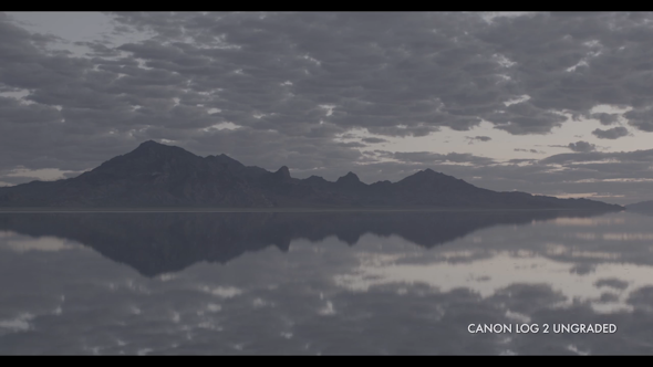 Canon's C Log 2 Ungraded